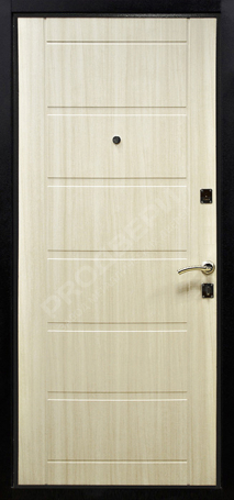 Фотография «Дверь Порошок №45»